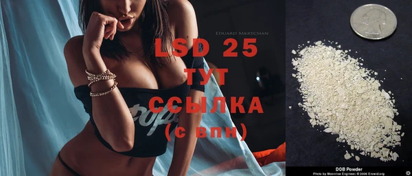 стафф Бородино
