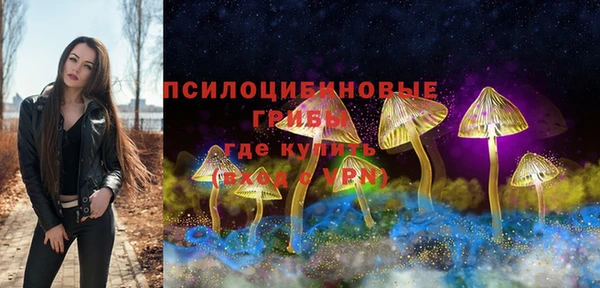 стафф Бородино