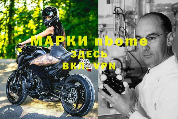 стафф Бородино