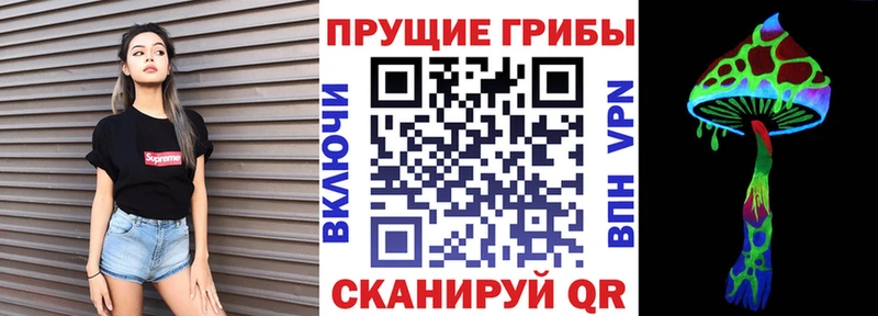Галлюциногенные грибы Cubensis Бузулук