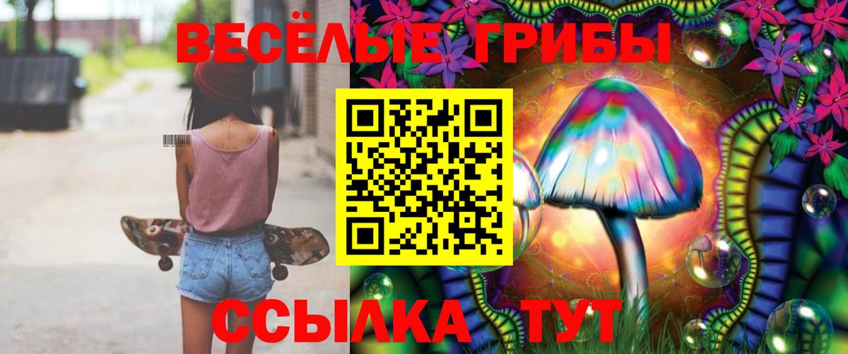 Бузулук  Псилоцибиновые грибы Psilocybe  Галлюциногенные грибы Cubensis  Вход с VPN 